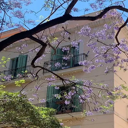 Appartamento Center